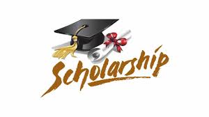 Scholarship Target 450+
